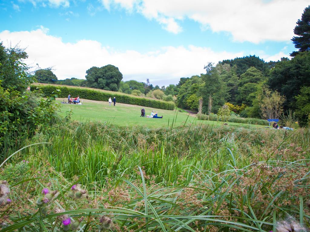 University Of Exeter - Pennsylvania Court 외부 사진