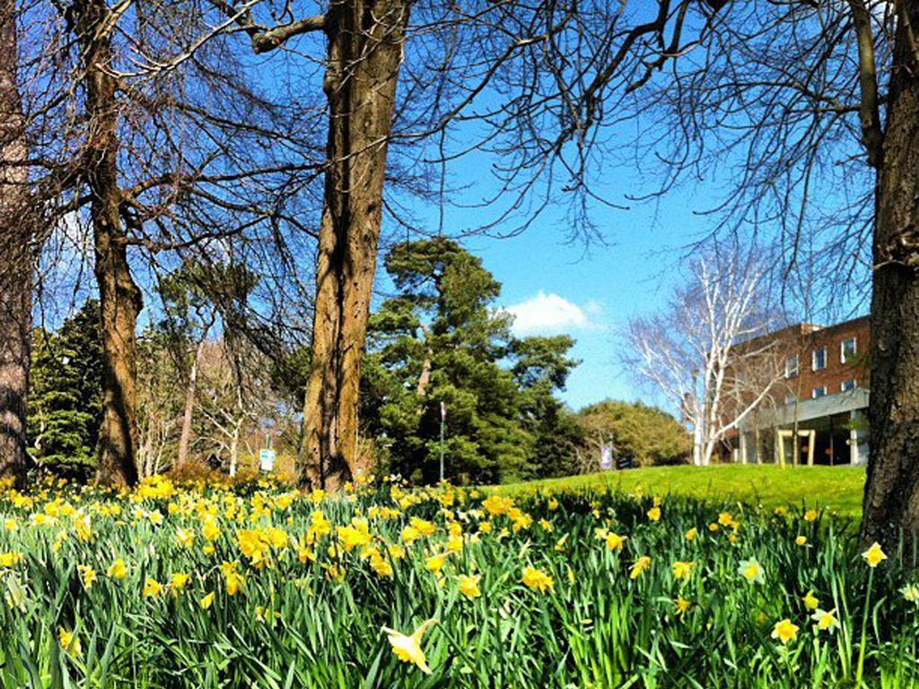 University Of Exeter - Pennsylvania Court 외부 사진