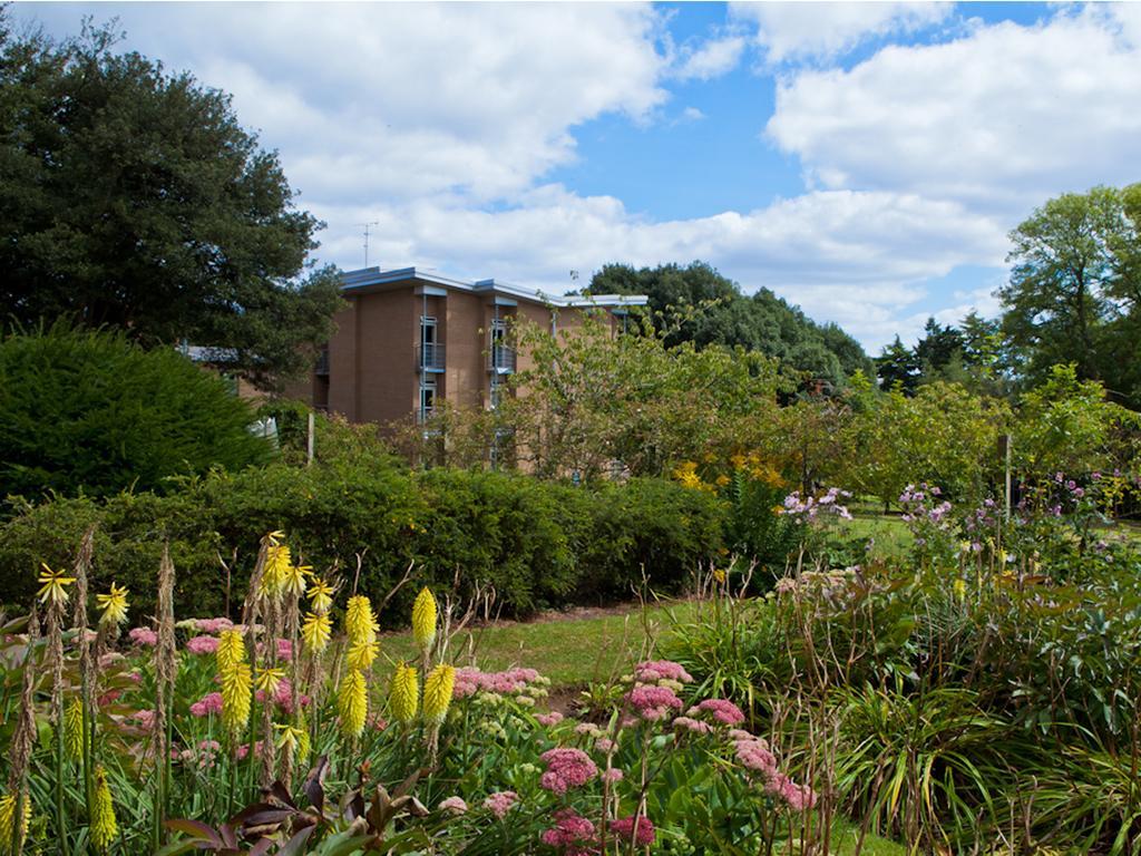 University Of Exeter - Pennsylvania Court 외부 사진